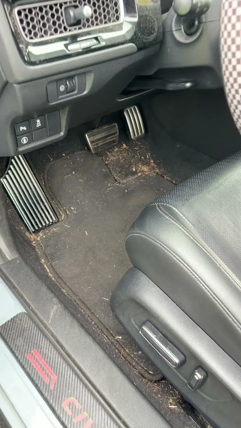 Stained floor mat before detailing