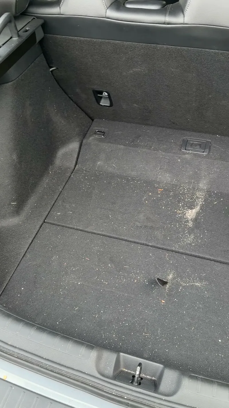 Cargo area before detailing