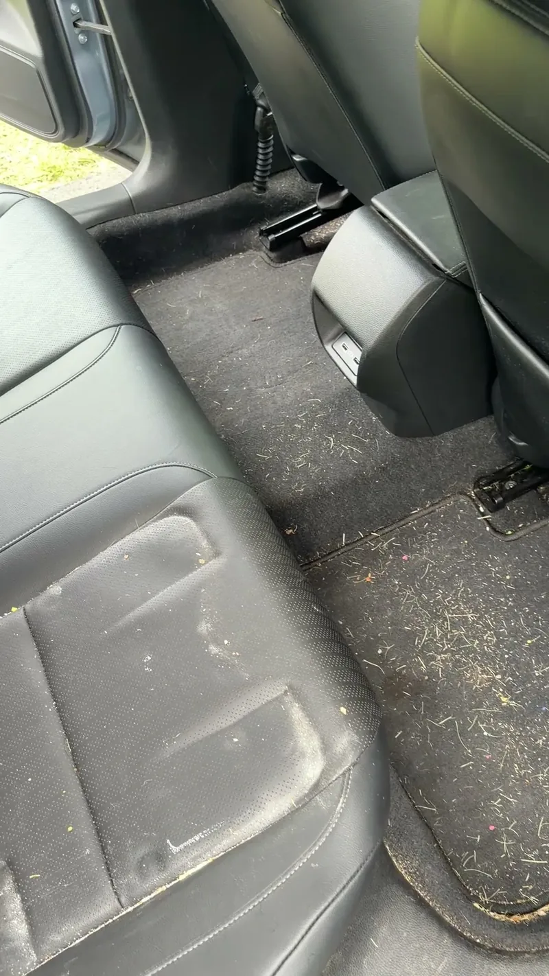 Rear cabin before detailing
